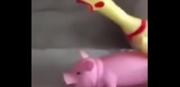  A Peppa Pig CAIU NA NET ! Whatsapp Videos Engraçados 2015
